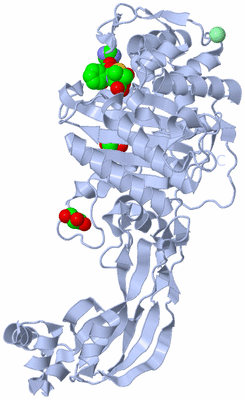 Image Biological Unit 1