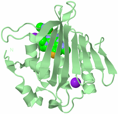 Image Biological Unit 2