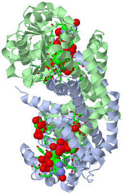 Image Asym./Biol. Unit - sites