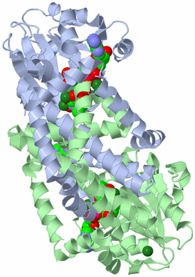 Image Asym./Biol. Unit