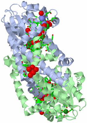 Image Asym./Biol. Unit - sites