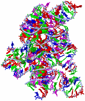 Image Biological Unit 2