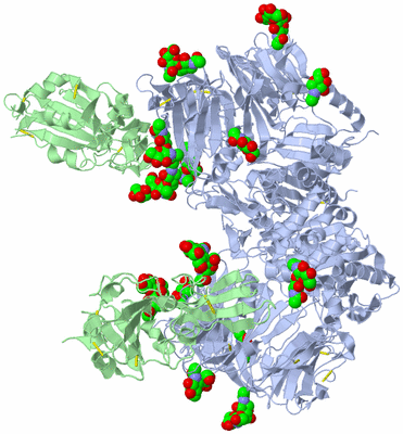 Image Biological Unit 1