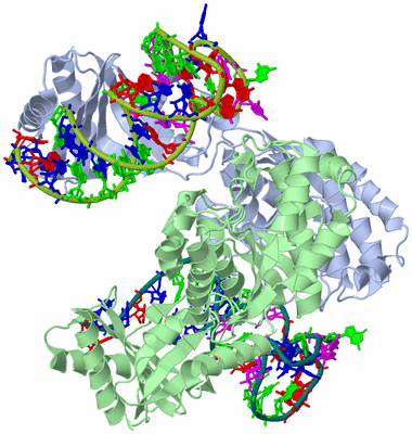 Image Asym./Biol. Unit