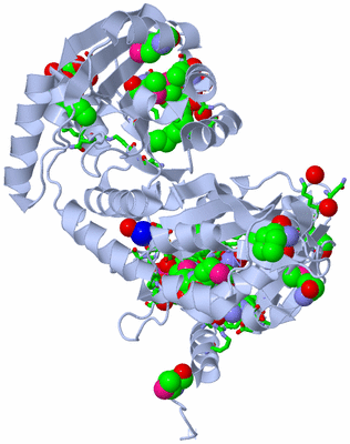 Image Biol. Unit 1 - sites