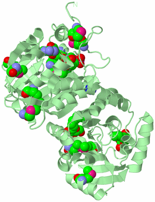 Image Biological Unit 2