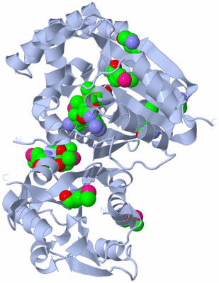 Image Biological Unit 1