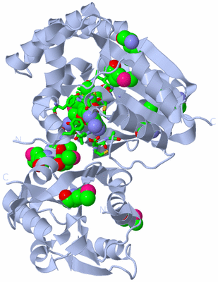 Image Biol. Unit 1 - sites