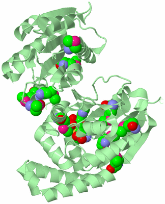 Image Biological Unit 2