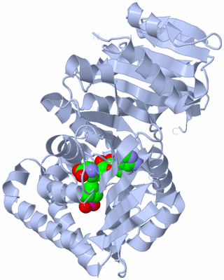 Image Biological Unit 1