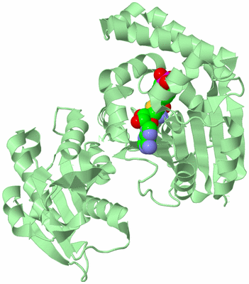 Image Biological Unit 2