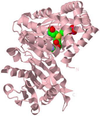 Image Biological Unit 3