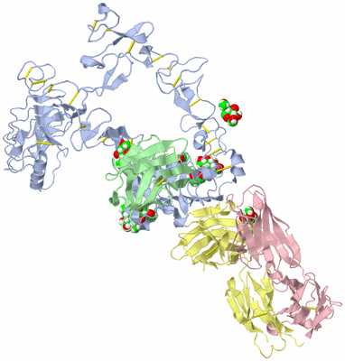 Image Asym./Biol. Unit