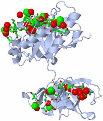 Image Biol. Unit 1 - sites