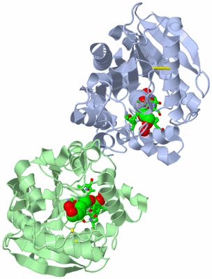 Image Biol. Unit 1 - sites