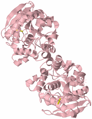 Image Biological Unit 2