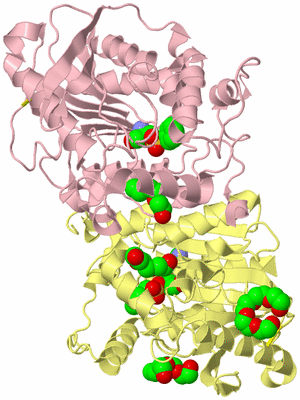 Image Biological Unit 2