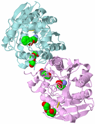 Image Biological Unit 3