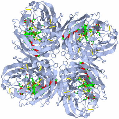 Image Biol. Unit 1 - sites