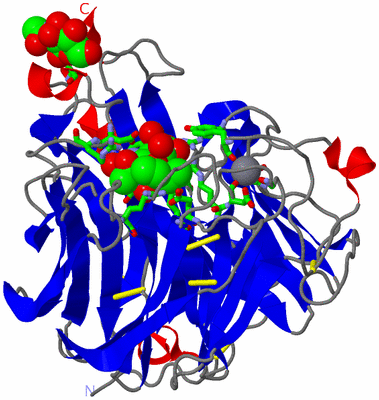 Image Asym. Unit - sites