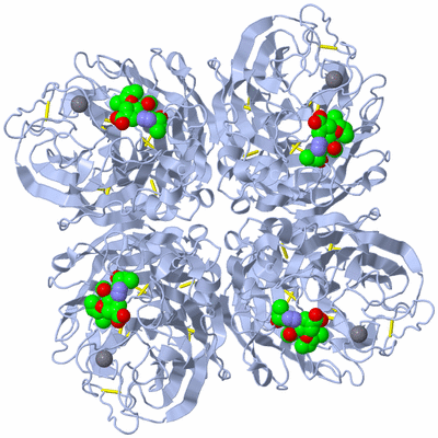 Image Biological Unit 1