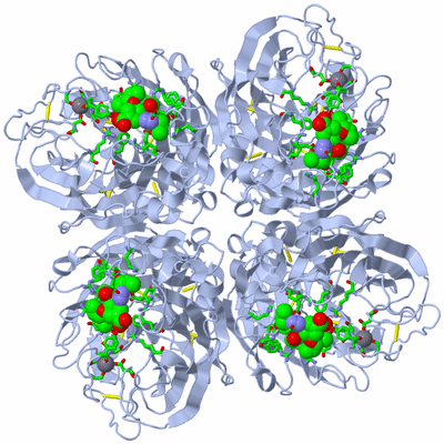 Image Biol. Unit 1 - sites