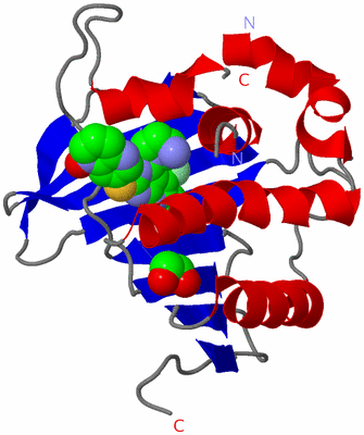 Image Asym./Biol. Unit