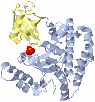 Image Biological Unit 1