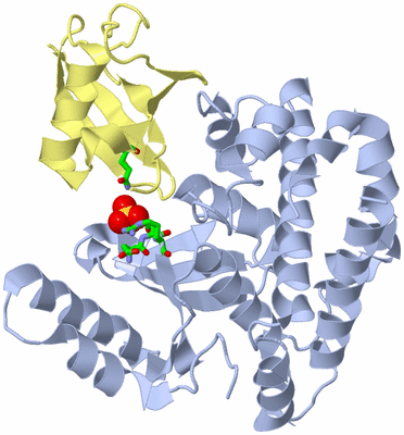 Image Biol. Unit 1 - sites