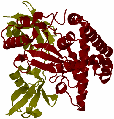 Image Biological Unit 11