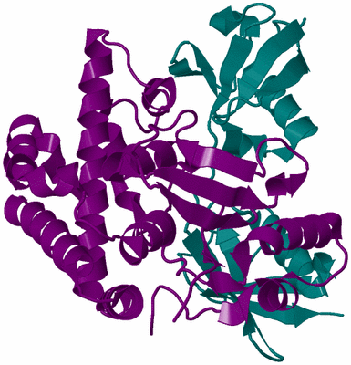 Image Biological Unit 12