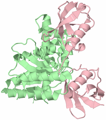 Image Biological Unit 2