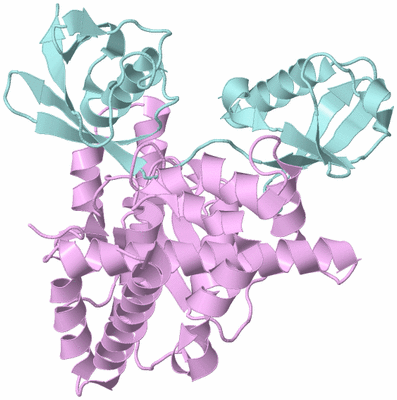 Image Biological Unit 3