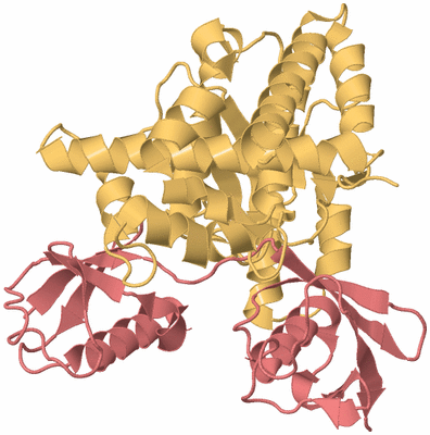 Image Biological Unit 4