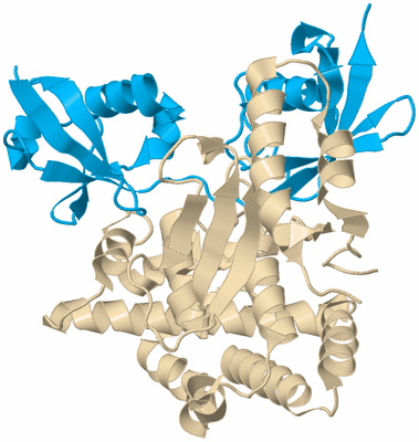 Image Biological Unit 5