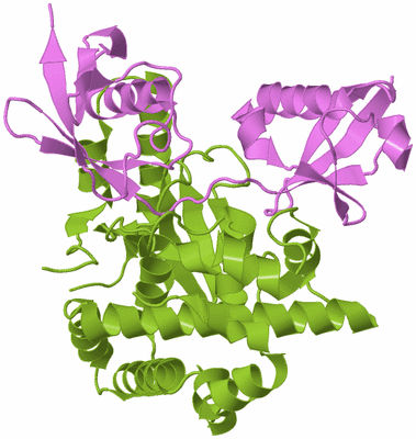 Image Biological Unit 7