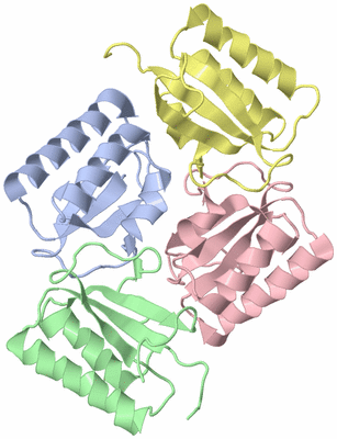 Image Asym./Biol. Unit