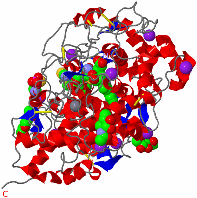 Image Asym./Biol. Unit