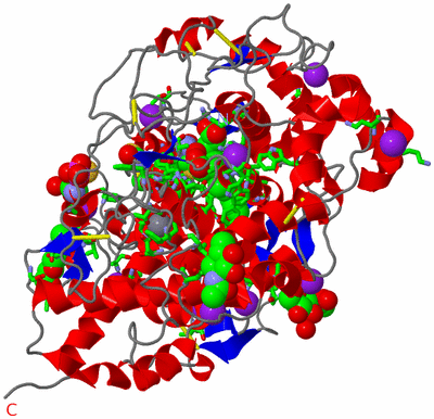 Image Asym./Biol. Unit - sites