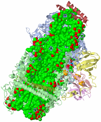 Image Asym./Biol. Unit