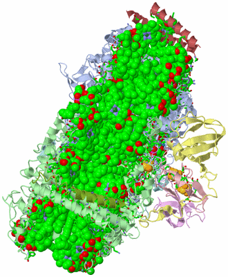 Image Asym./Biol. Unit - sites