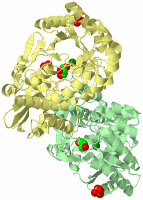 Image Biological Unit 2