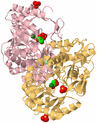 Image Biological Unit 3