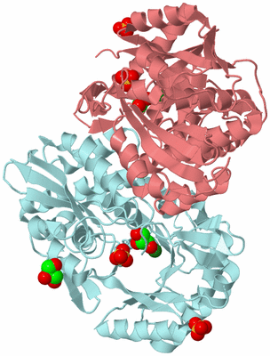 Image Biological Unit 4