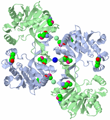 Image Biological Unit 2