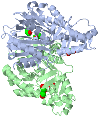 Image Asym./Biol. Unit