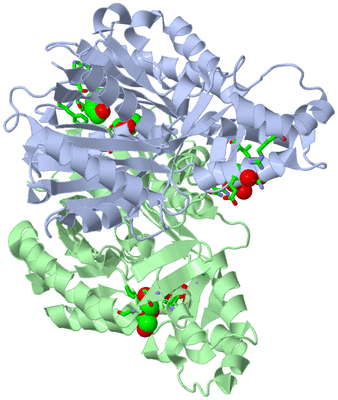 Image Asym./Biol. Unit - sites