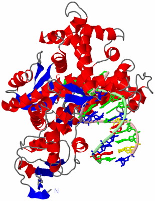 Image Asym./Biol. Unit