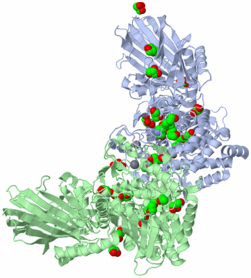 Image Biological Unit 1