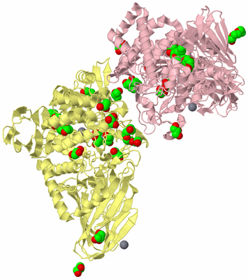 Image Biological Unit 2